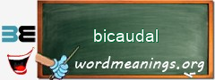 WordMeaning blackboard for bicaudal